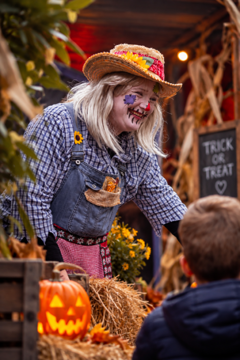 Halloweendecoratie in het park